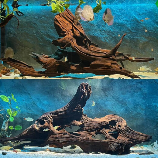 Large sinking wood 60-80cm fish tank landscaping ornaments Large tree stump dragon fish tank arch bridge sinking wood aquarium boutique khaki 16857 has been cooked in seconds
