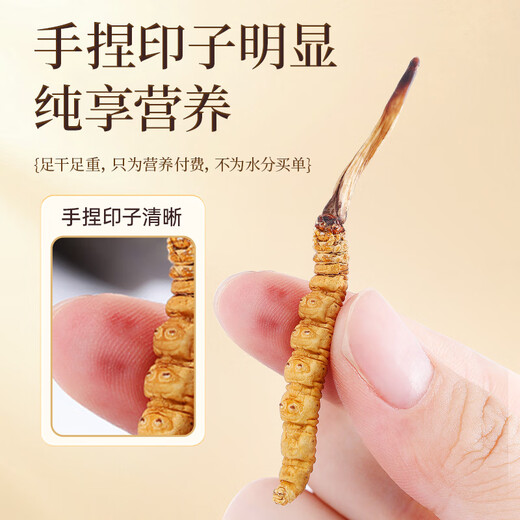 
Purple and blue flowers sea Cordyceps 2 roots/g 20g 40 new dried Cordyceps selected quality tonics [Health gift box]