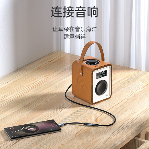 Shanze Headphone Adapter Audio Cable Type-C to 3.5mm Converter DAC Decoder Chip Suitable for iPad Pro Tablet Huawei Apple 17/15/16 Samsung Xiaomi Universal