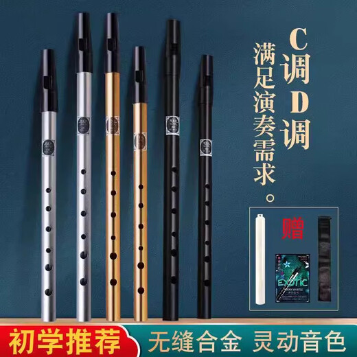 皇仕爱尔兰哨笛初学者入门金属笛子6孔C调D调高低音直笛课堂竖笛乐器 6孔哨笛合金材质D调【优雅银】