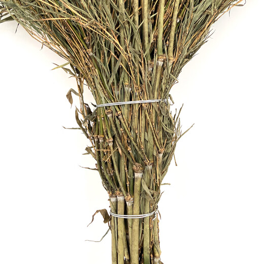 Caiyile large broom five-broom sanitation bamboo broom road property asphalt road outdoor floor cleaning large broom 3.5 bamboo branches conjoined five-broom