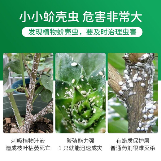 Guoguang Zhuopu 18% имидаклофеназинон чешуйчатые насекомые цветы овощи фрукты деревья пестициды инсектициды 200 г