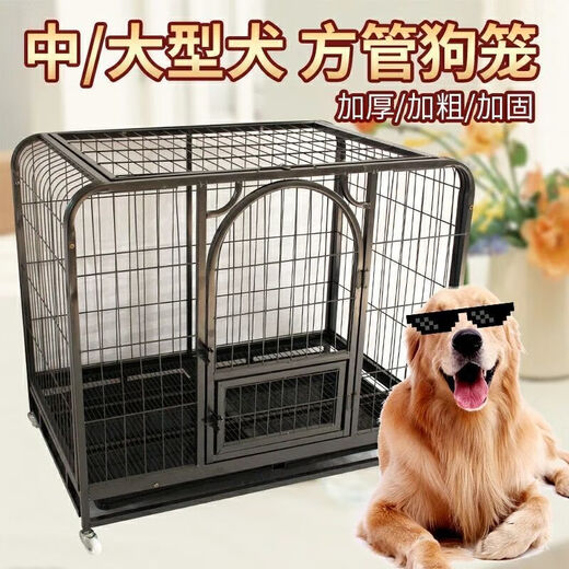 JPHZNB Large Dog Alaskan Extra Large Dog Cage Golden Retriever Samoyed Husky Small and Medium-sized Dog Teddy Bichon Dog Cage New Product Square Tube 125*80*90cm Standard (With Tray Color Random)