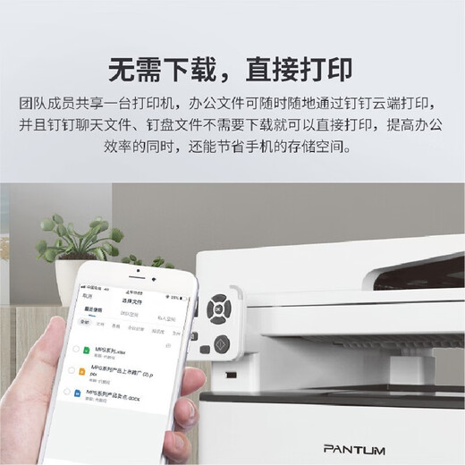 奔图（PANTUM） M7170DW黑白激光多功能一体机  无线自动双面（打印 复印 扫描）三合一 M7170DW 标配打印机 标准版
