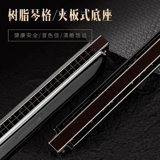 天鹅德国进口音簧天鹅28孔高端复音c调口琴 高级成人专业重音演奏级琴 28孔D调高端专业演奏复音