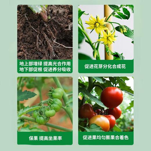 3% sodium nitrate and amine fresh ester compound sodium nitrate and amine fresh fat vegetable tomato root-promoting plant growth regulator pesticide 500g