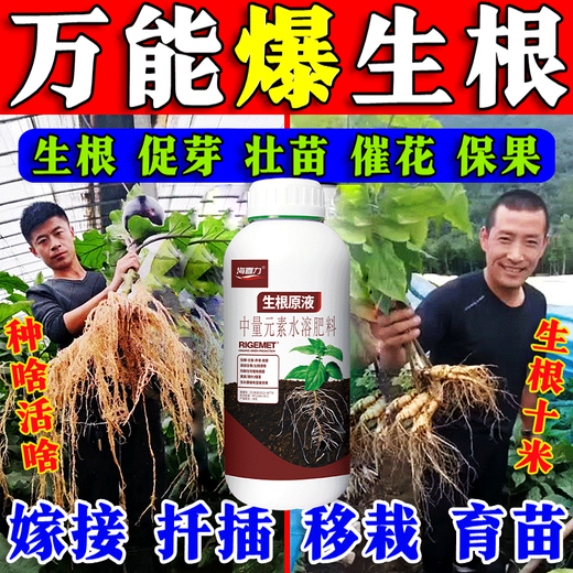 Powerful rooting solution imported from Germany, green plant rooting and seedling strengthening agent, potted flowers, vegetables, succulents, hydroponics, seven days for rooting, three days for rooting, 30g, 1 bottle