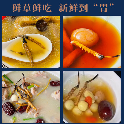 [2024 Naqu End of Wild Cordyceps] QOMO Naqu Origin Seasonal Fresh Cordyceps in Naqu, Tibet Wild Cordyceps Cold Chain Gift Box Dragon Boat Festival Gift Box Naqu Wild Cordyceps 0.8g/root 100 Roots Pack