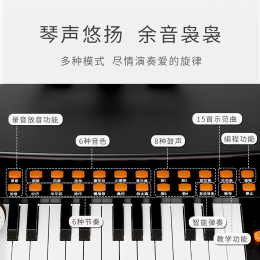 BAOLI Children's Electronic Piano Toy Baby Music Enlightenment Early Education Beginner 3-6 Years Old Boys and Girls Birthday Gift