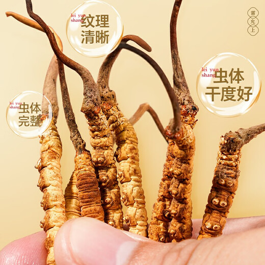 Lei Yunshang [official] [Naru Qu, Tibet] Cordyceps high-end gift box for supplements for elders [Cordyceps, full of respect] 50/8g