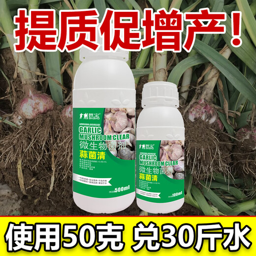 Garlic Bacteria Clear Extract Garlic Special Medicine Dry Tip Yellow Leaf Root Rot Leaf Blight Rust Purple Spot Sterilizing Garlic Bacteria Clear 100ml 2 Bottles