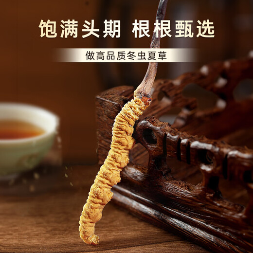 Shouyangtang Cordyceps sinensis 4 roots/g 20g Cordyceps gift box for freshly dried Cordyceps supplements for parents [selected gift box]