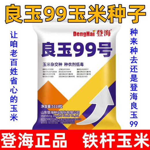 New species in stock original Liangyu 99 corn seeds disease resistance and temperature tolerance Shandong Denghai Liangyu 99 hardcore corn big cob Denghai Liangyu 99 5118 grains 3.8Jin Jin equal to 0.5kg about x1 bag