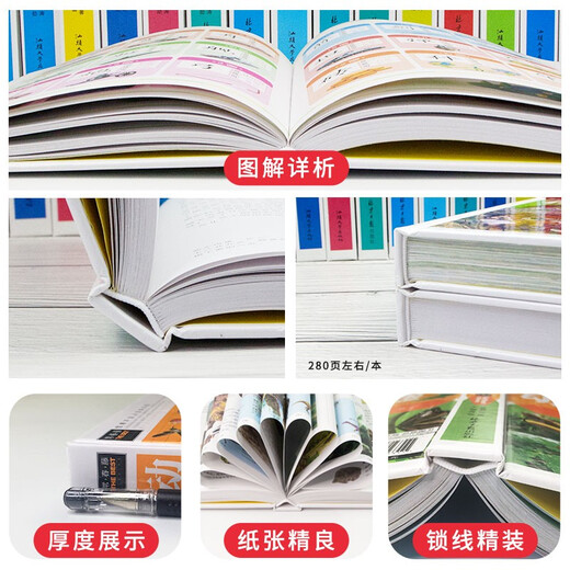 儿童彩泥剪纸折纸创意彩泥大全 3-6-8岁粘土制作教程图书籍 剪纸折纸书大全儿童手工制作 幼儿园宝宝DIY小班中班书籍 精装