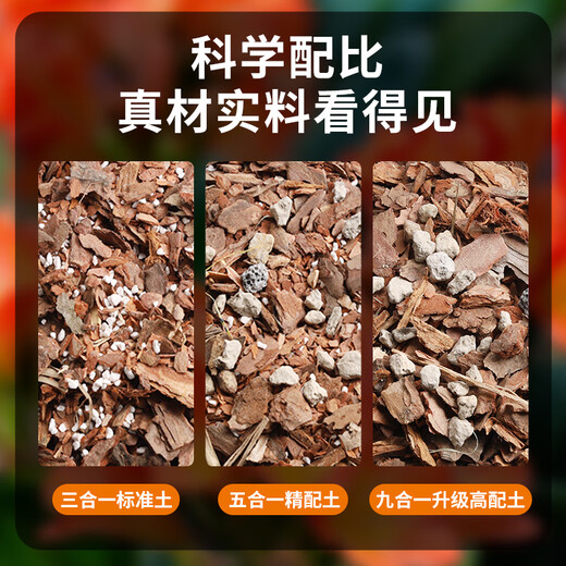Devodoro Clivia special nutrient soil 5L (five-in-one) gardening green plant flower cultivation organic planting soil composite matrix soil