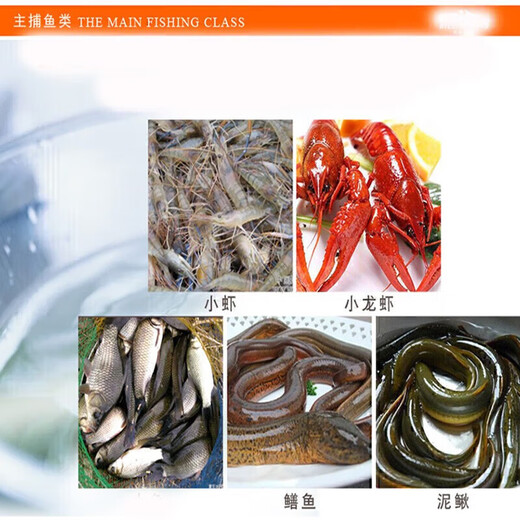 Jingpin fish and shrimp cage, floor cage, lobster cage, ground dragon fish cage, no entry, only fishing net, fishing cage, shrimp cage, eel cage, 21 holes + 20 packs of bait (delivered today)