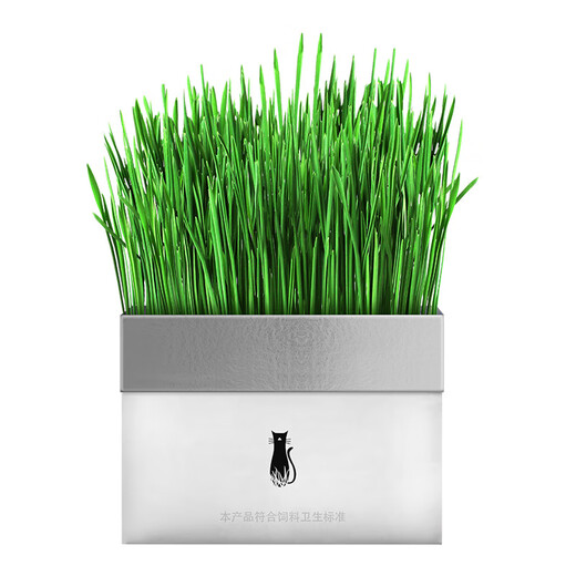 Lion Doctor Hydroponic Cat Grass Set Wheat Seed Cat Snacks Lazy Potted Hair Removal Ball Natural Cat Grass Self-Grown Fresh Grass Special Offer 4 bags as low as 2.5/bag