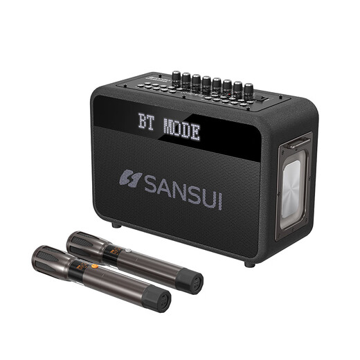 山水（SANSUI）便携式手提音箱广场舞音响音箱带KTV无线话筒小型直播k歌音响移动户外大功率声卡卡拉OK G13【歌词同步+一键消音】