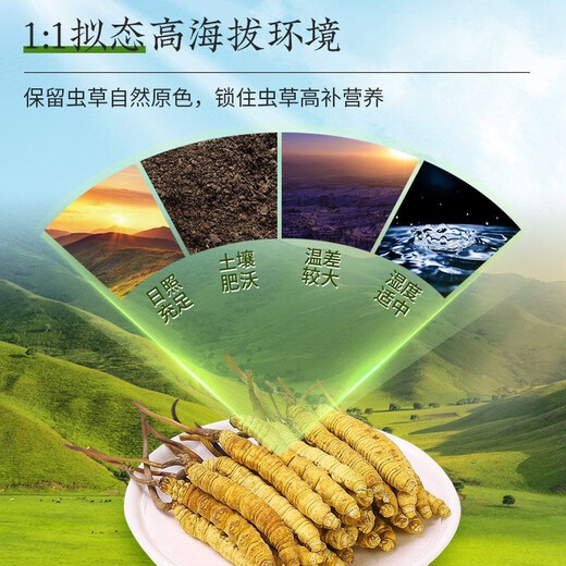 色季拉 冬虫夏草新干虫草滋补送礼佳品礼盒装 3根/g【10克装】