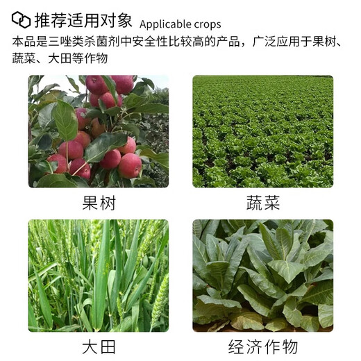 Donghe Biotech 40% difenoconazole leaf spot disease powdery rust fruit tree vegetable flower fungicide pesticide anthracnose 50g