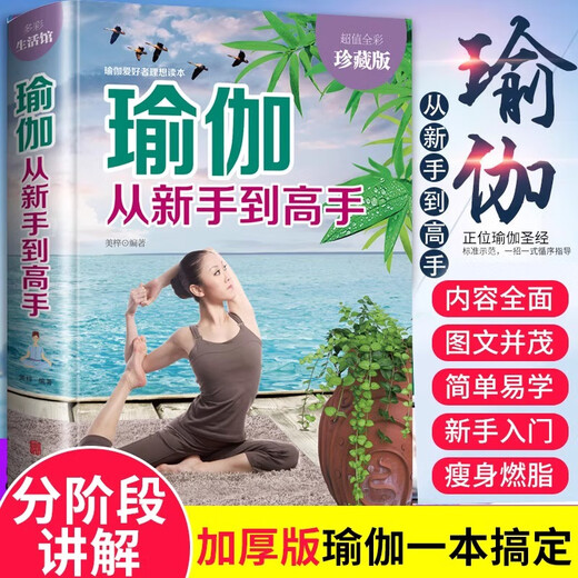 Genuine Yoga from Novice to Master Yoga Books Beginners' Complete Tutorials for Beginners to Lose Weight with Illustrations Yin Yoga Pilates Teaching