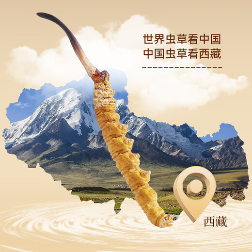 雷允上野生冬虫夏草4根/g 20g约80根西藏那曲父亲节礼盒高端送领导
