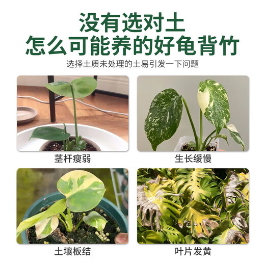 Shangyang Monstera's special nutrient soil 8L gardening flower soil nitrogen, phosphorus and potassium green plant potted organic compound peat planting soil