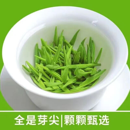 御贡仙芽特级头采雀舌绿茶茶叶2025新茶礼盒送礼明前全芽头嫩芽 明前雀舌【500克罐装】
