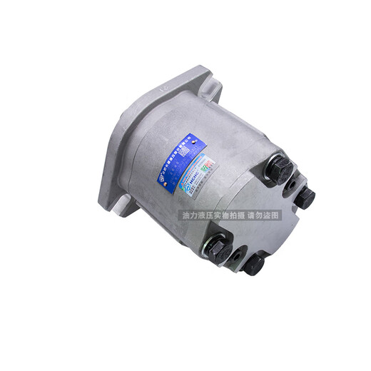 Lange Quellausrüstungspumpe CBF-F650/F663/F671/F680/F690/F6100AFP Reparaturpaket CBF-F6 CBF-F671-AFHL