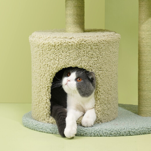 ZEZE Adora Cat Climbing Frame, Cat Nest, Integrated Cat Claw Claw Cat Scratching Post, Jumping Platform Toy, Small Cat Tree, Multi-layer Wear-Resistant, 78cm, 4 Layers, Does Not Take Up 53*37*78cm