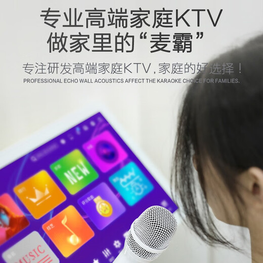 KKH 家庭ktv音响套装点歌触摸一体机影院卡拉ok全套设备家用点唱台客厅音箱 音响+功放+麦克风+点歌机 2TB