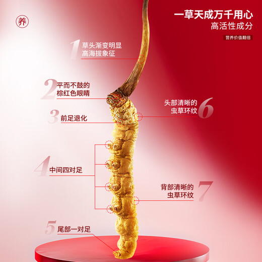 太守堂 冬虫夏草2根/g 5克礼盒装(约10根)年货礼品高海拔高洁净新干虫草