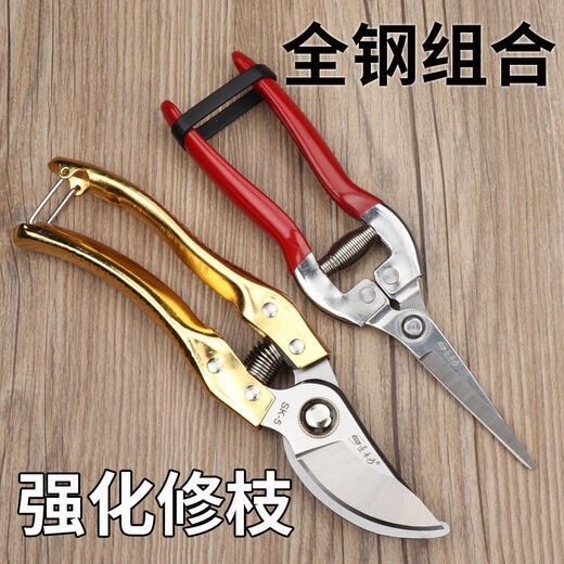 修枝剪子葡萄摘果剪 园林果树剪刀粗枝花剪 省力树枝修剪花的剪刀 高端H14116直款与灵巧剪搭配