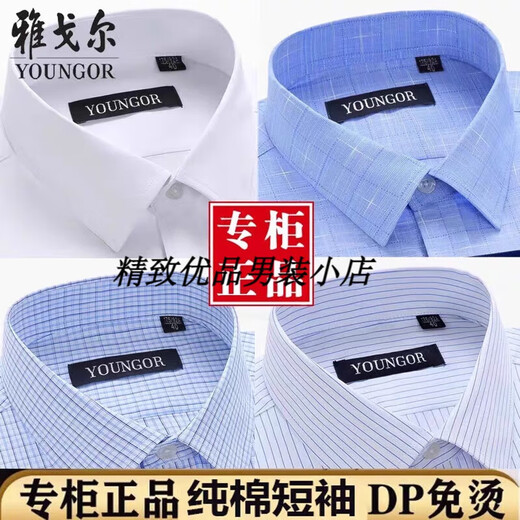 CEOGY雅戈尔男士短袖衬衫条纹纯棉免烫商务职业正装白色衬衣酒红[商 浅兰[商场同款] 42码[162-172斤]