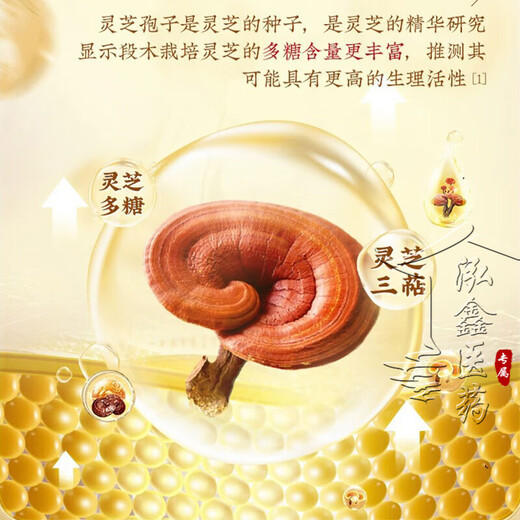 北京同仁堂 灵芝孢子粉 破壁灵芝孢子粉 孢子粉 增强免疫力成人中老年人术后营养品探病礼物 5盒装【3盒的价格】