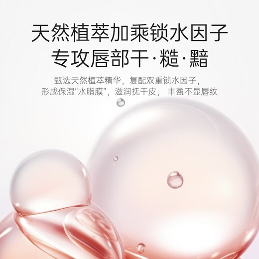 Kangaroo Mom Glue Glue enceinte des femmes enceintes Baume à lèvres à lèvres à lèvres Lèmes Lèmes Fade ne s'est pas fondée colorée et complète de la plante naturelle spéciale Cosmetics [Couleur de pâte de thé sucrée verticale] BB701 à lèvres BB701