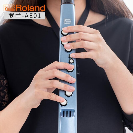 贤怀达正品日本品牌Roland罗兰AE-01电吹管老人电萨克斯电子乐器二胡AE0 罗兰AE-01C民族版(套餐五)