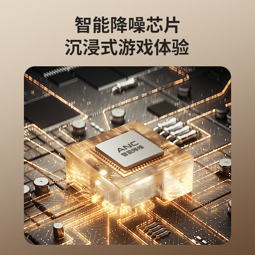 Newmine ZM10 computer microphone wireless radio mobile phone live broadcast microphone PD comes with sound card 200X game noise reduction microphone desktop USB desktop microphone karaoke