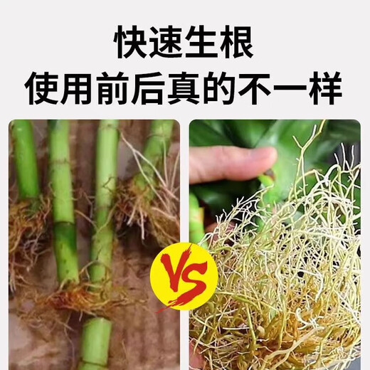 50% indolebutyric acid, indolenaphthalene acetic acid, high concentration rooting agent, rooting powder, seedling transplanting, cutting rooting promotion, 100 bottles (20g/bottle), free 1g measuring spoon