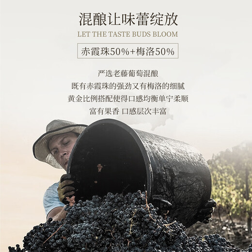 LOUIS LAFON French original bottle imported red wine 15% super Bordeaux N99 dry red wine 750ml*2 bottles New Year gift box