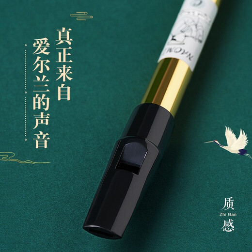 DBAO Irish Whistle Flute Flute Beginners Professional Playing Treble Recorder Musical Instruments for Primary School Students [DBAO Alloy] Black C-Tun + Giveaway