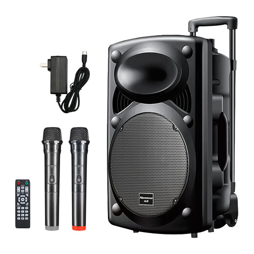 Newman B12 Square Dance 12-inch Outdoor High Volume Bluetooth Trolley Speaker Portable Electric Acoustic Guitar Singing Instrument Speaker Performance K Song Subwoofer Floor Stall Speaker Adapter