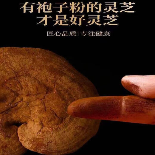 Caerqi black Ganoderma authentic Yunnan deep mountain wild Ganoderma whole flower with Ganoderma spore powder Ganoderma dry goods soaked in wine and tea Whole Ganoderma Ganoderma spore powder Ganoderma lucidum 500g Family version