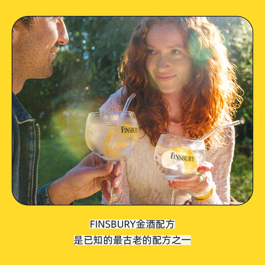 
FINSBURY London Dry Gin Wild Strawberry Imported Foreign Wine Gin Tangli Base Wine 38 degrees 700ml*2