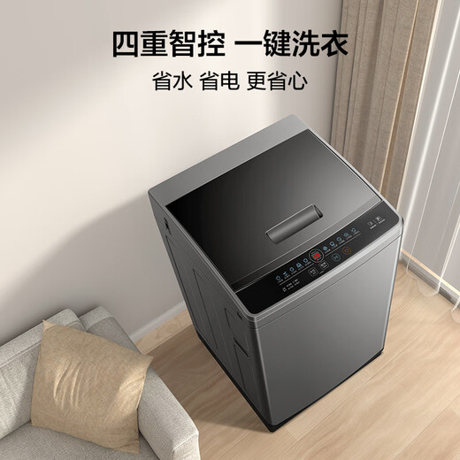 TCL 8公斤抗菌波轮洗衣机小型V2 除螨洗 宿舍租房 全自动家用 家电国家补贴 以旧换新 送装一体B80V2