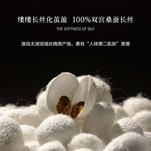 寐（MINE）舒享丝棉提花100%桑蚕丝被子加厚保暖被芯蚕丝冬被至爱 248*248cm (填充1350g)