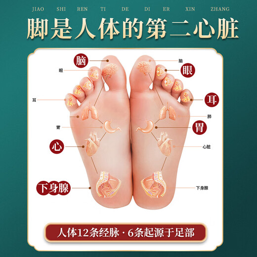 Baiyunshan Xingqun Old Beijing Foot Patch Mugwort Foot Patch Heating Patch Ginger Bamboo Vinegar Foot Sleeping Moxibustion Foot Patch 5 boxes Stocking Pack 10 patches/box