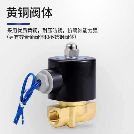 Jinggong all-copper normally closed solenoid valve electronically controlled water valve switch gas valve 220V24V control valve water discharge battery valve water control valve 08 2 points AC220V