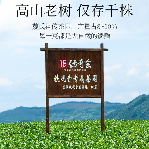 传奇会乌龙茶 安溪铁观音 清香型特级250g轻火礼盒装兰花香茶叶送礼礼品