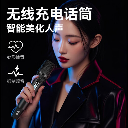 HiVi Outdoor Karaoke Speaker Square Dance Singing Trolley Mobile Speaker Karaoke Microphone Amplifier All-in-One Singing Grade Instrument Dual 6.5-inch Bass MP26